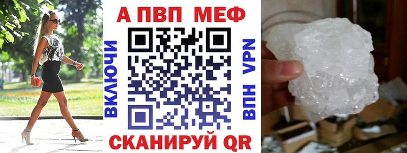 Альфа ПВП СК КРИС  Грайворон 
