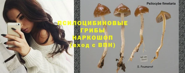 PSILOCYBIN Армянск