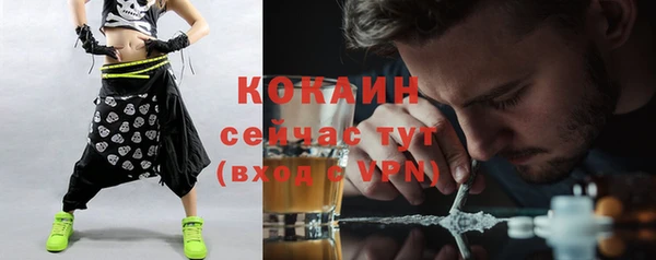 гидра Аркадак