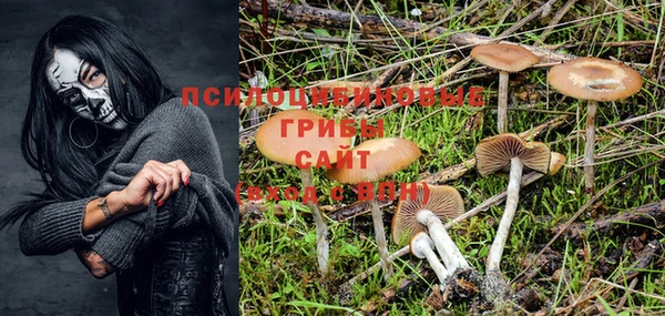 таблы Арсеньев