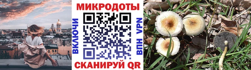 дарнет шоп  Грайворон  Галлюциногенные грибы GOLDEN TEACHER 